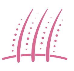 Feature Icon