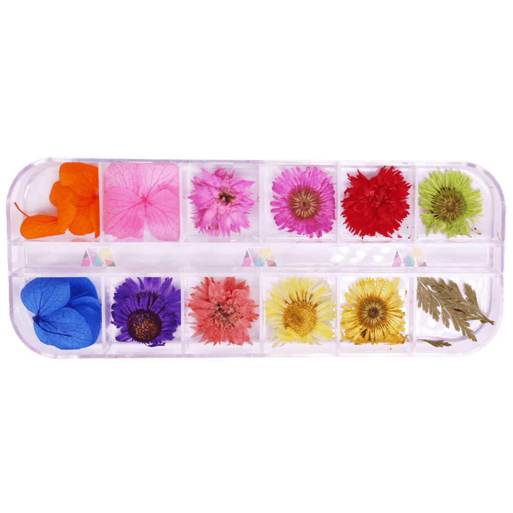Dry Flower Pack 13 - Daisy - Maskscara