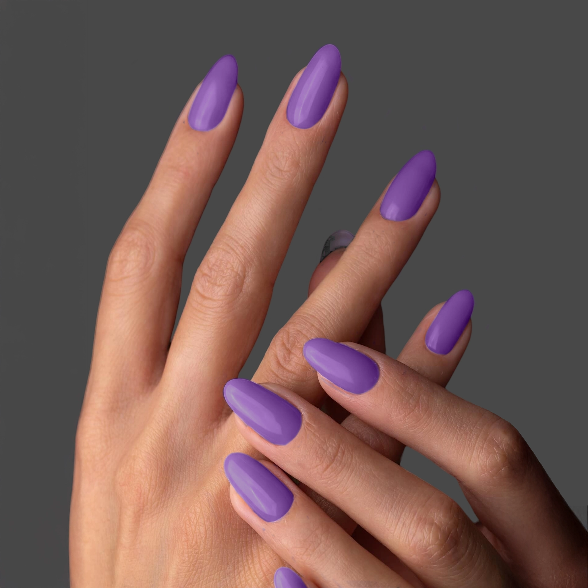 GP048 - Purple Flirt