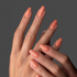GP167 - Apricot Frieze