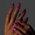 GP184 - New York Beet