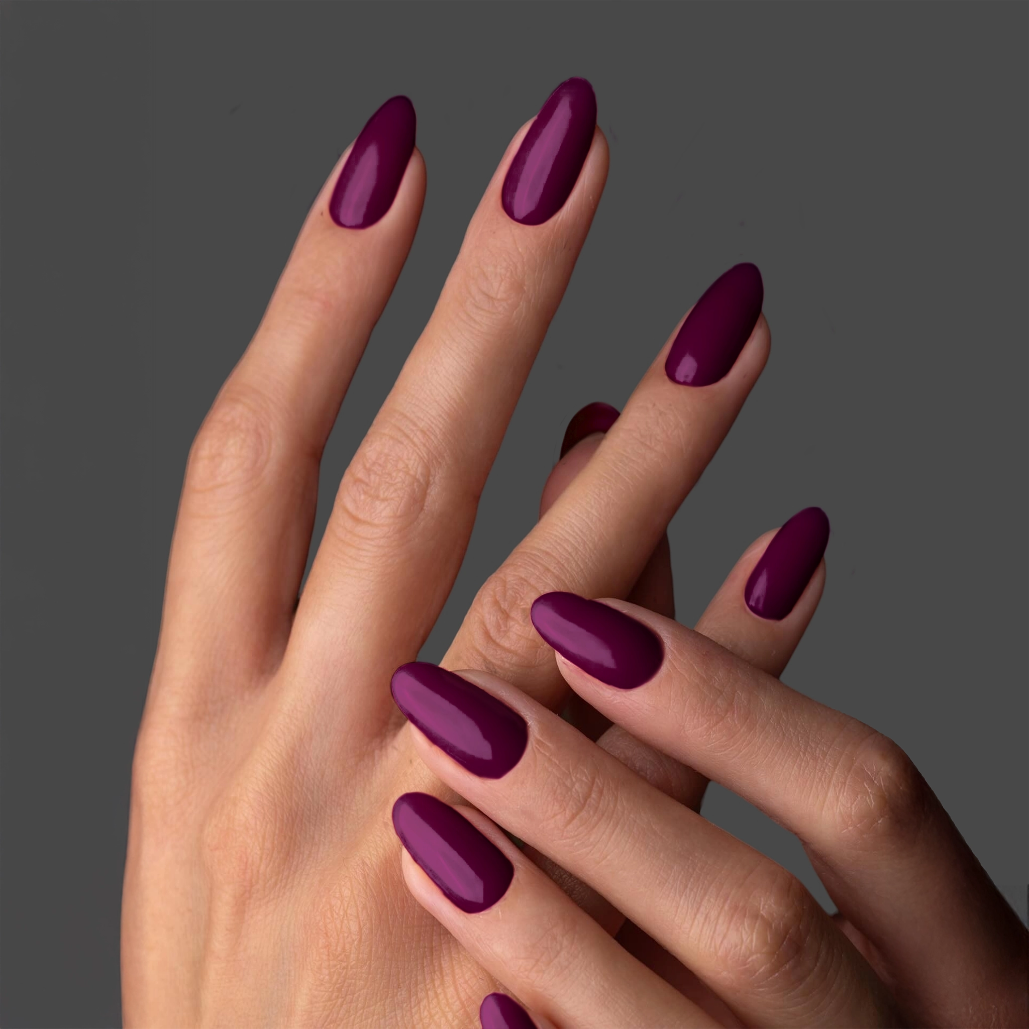 GP184 - New York Beet