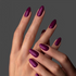 GP184 - New York Beet