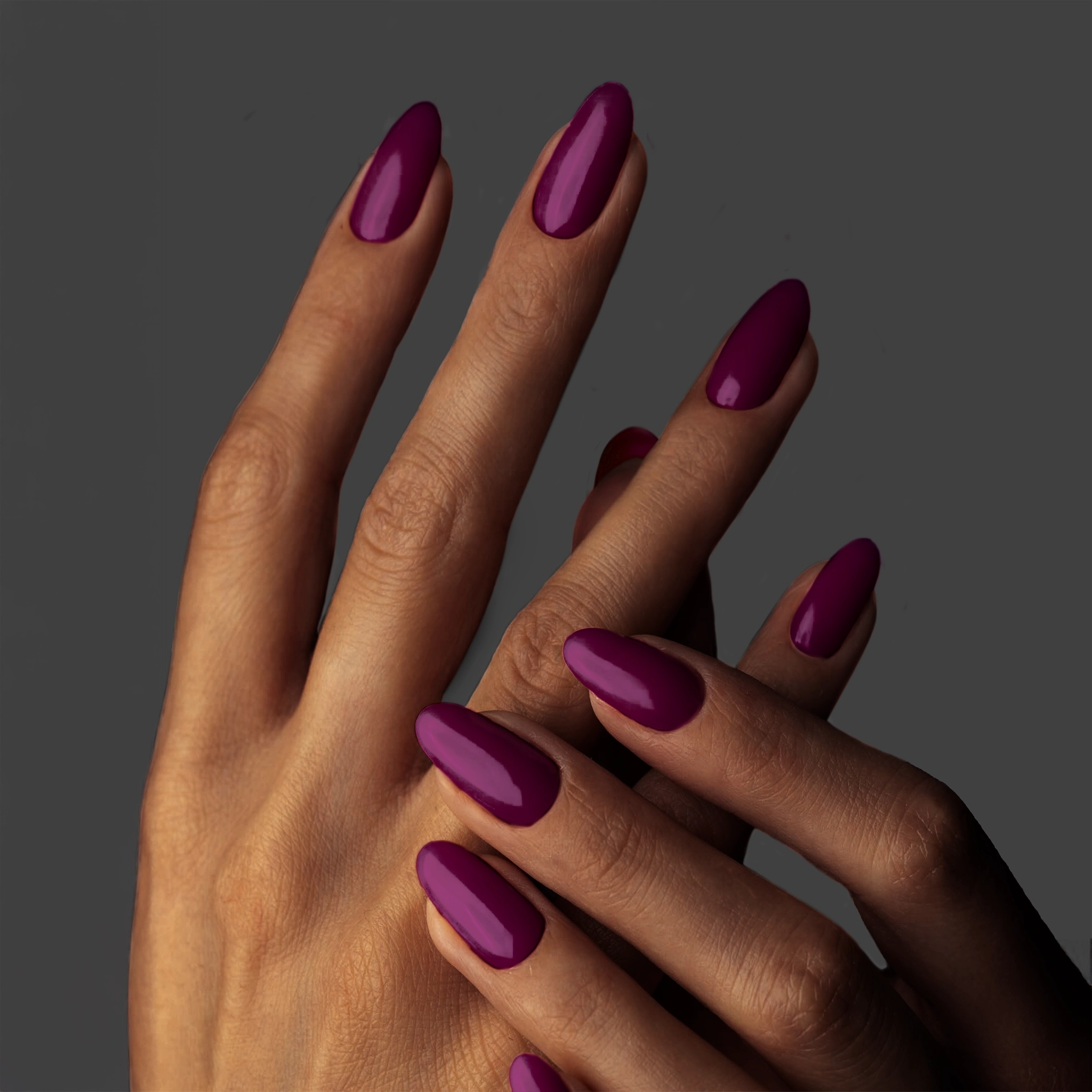 GP184 - New York Beet