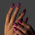 GP184 - New York Beet