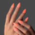 GP214 - Cantaloupe Pop