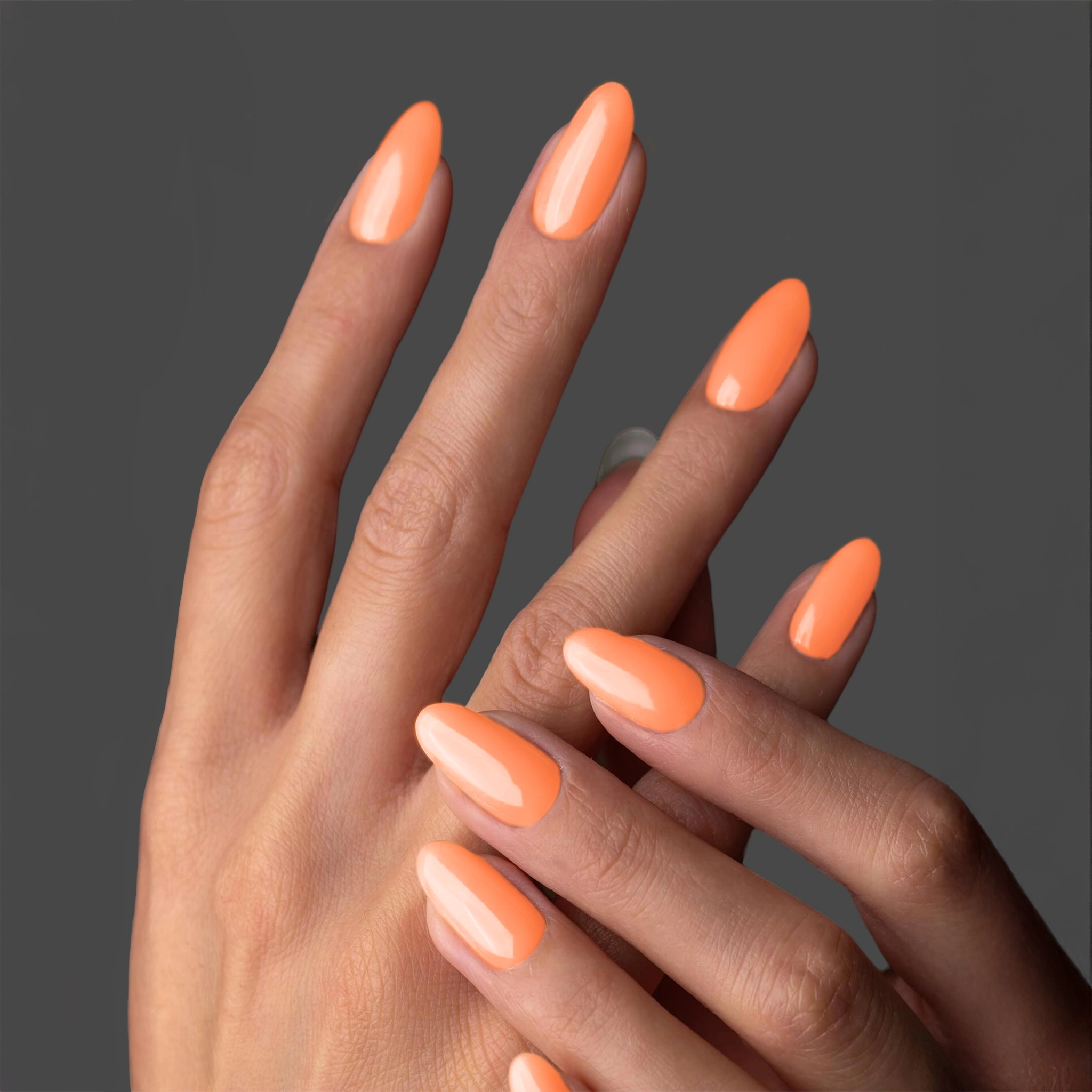 GP297 - Tropic Like It's Hot
