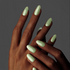 GP326 - Too Matcha