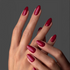 HF015 - Mai Tai Rouge