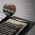 C-Curl Ellipse Lashes 0.20mm Black 10mm