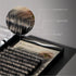 C-Curl Ellipse Lashes 0.20mm Black 13mm