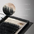 D-Curl Ellipse Lashes 0.15 Black 12mm