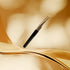 Luscious Lashes Volume Gold Tip Tweezer Fine