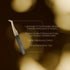 Luscious Lashes Volume Gold Tip Tweezer