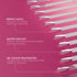 Colour Display Sticks - Clear (40 Pcs)