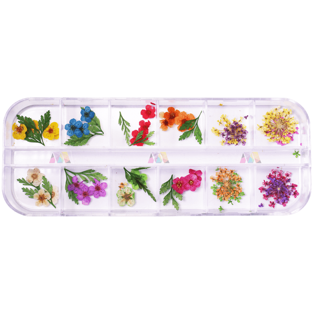 Dry Flower Pack 12 - Mixed - Maskscara